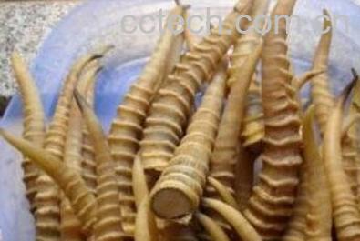 羚羊角的使用方法和功效-0