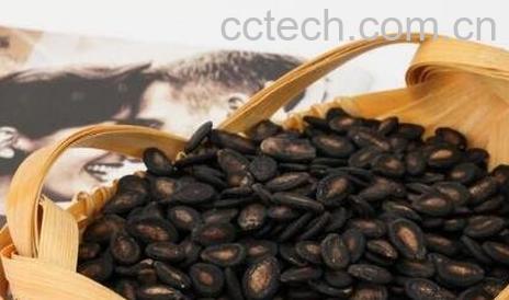 丝瓜子的功效与作用-1