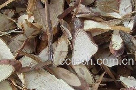 岗梅根的毒副作用和使用禁忌-0