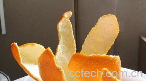 橘子皮-1