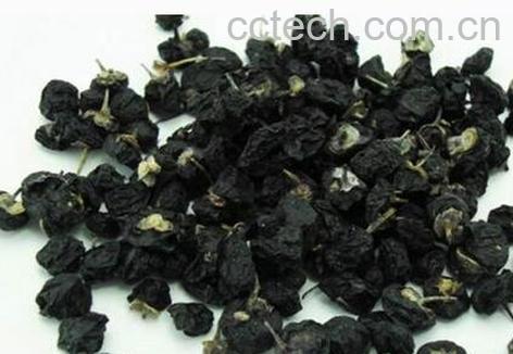 兰枸杞的药用价值-1