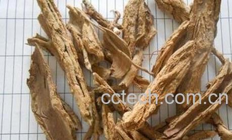 中药地骨皮的作用与功效-0