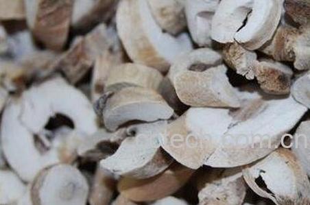 中药丹皮的功效与作用及食用方法-0