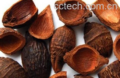 中药大腹皮的功效与作用-0