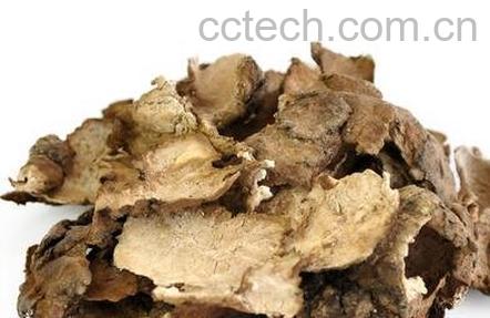 中药茯苓皮的功效与作用及食用方法-0