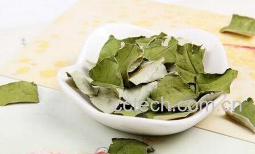 黄菊花和荷叶一起泡水喝的功效-1