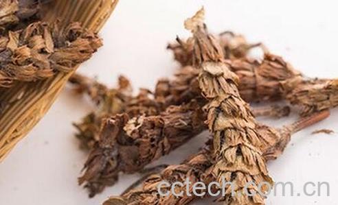 龙骨夏枯草功效-1