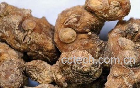 黄精的功效与作用 黄精的药用价值-0