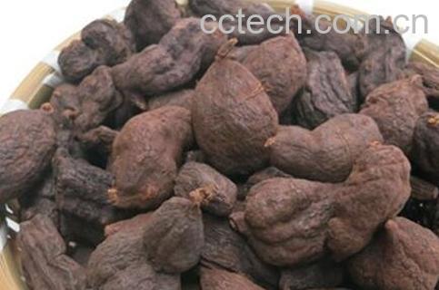 何首乌的功效与作用 何首乌的药用价值-0