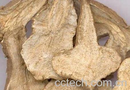 白术的功效与作用 白术的药用价值-0