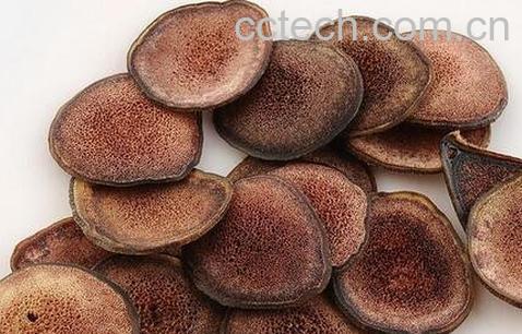 鹿茸的药用价值 鹿茸的功效与作用-0