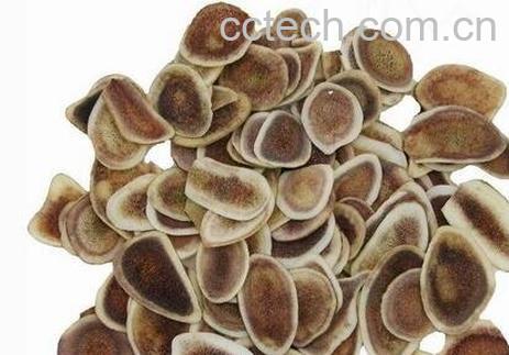 鹿茸的药用价值 鹿茸的功效与作用-1