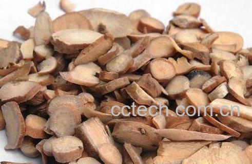 白芍的功效与作用 白芍的药用价值-1