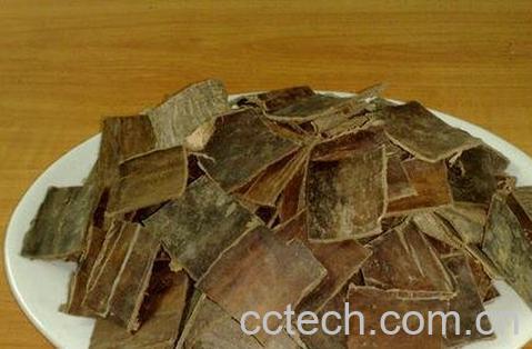 杜仲的功效与作用 杜仲的药用价值-0