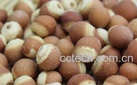 芡实的功效与作用 芡实的药用价值-0