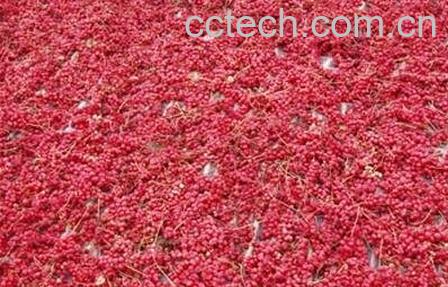 五味子的功效与作用及禁忌-1