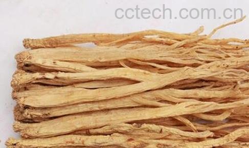 党参的功效与作用 党参的药用价值-0