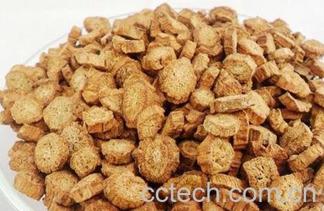 牛蒡茶的功效与作用 牛蒡茶的药用价值-1