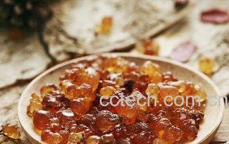 桃胶的功效与作用 桃胶的药用价值-0