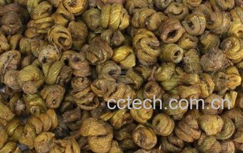 石斛的功效与作用 石斛的药用价值-1