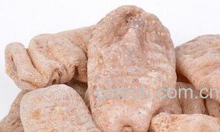 天麻的功效与作用 天麻的药用价值-0