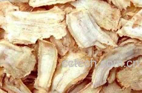 当归的功效与作用 当归的药用价值-0