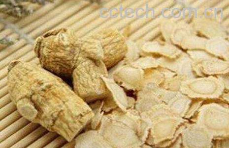 西洋参的功效与作用 西洋参的药用价值-0