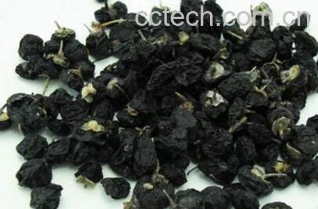 黑枸杞的功效与作用 黑枸杞的药用价值-1