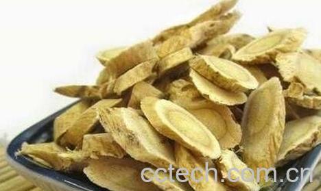 黄芪的功效与作用及禁忌-0