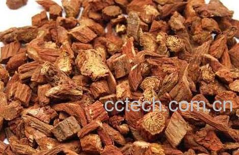 丹参的功效与作用 丹参的药用价值-1