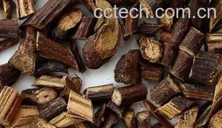 首乌藤的功效与作用及禁忌是什么-1