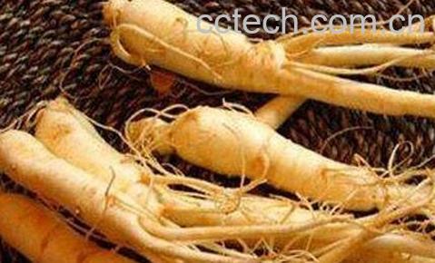 野参功效与作用-0