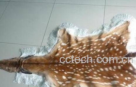 鹿皮的营养价值和功效作用-0