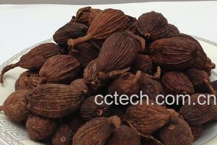 草果酮的功效与作用-0