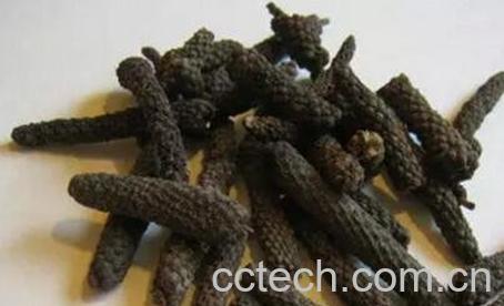 茅香根有什么副作用-0