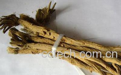 果蔬百科防风的功效-0