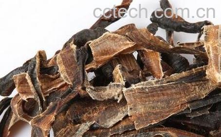 地龙的功效与作用及食用方法-0