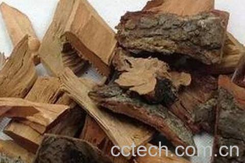 枫荷梨的作用-0