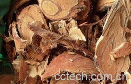 小血藤的功效与作用-0