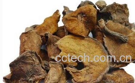 木香的功效与作用及食用方法-0