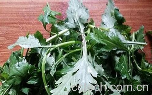 野菊花叶的功效与作用-0