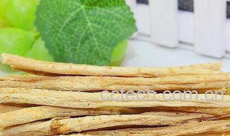 北沙参的功效与作用及食用方法-0