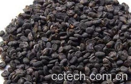 补骨脂的功效与作用及食用方法-0