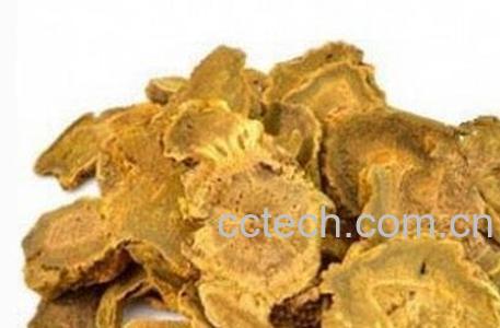 中药大黄泡水喝的作用-0