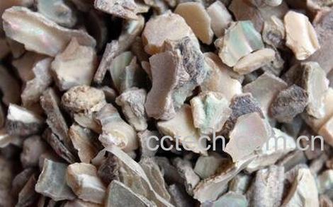 石决明的功效与作用-0