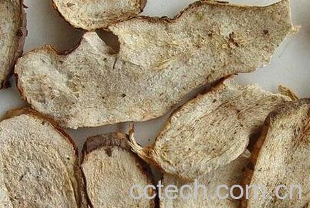 白蔹的美容功效与副作用-0