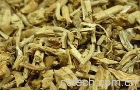 野薏米根的功效与作用-0