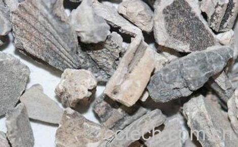 瓦楞子的功效与作用-0