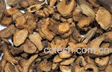 中药赤芍的功效与作用-0