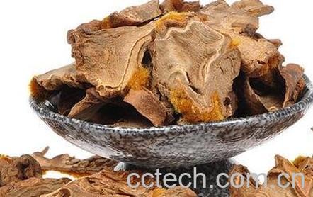 金毛狗脊的禁忌及食用方法-0